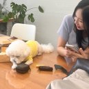 한 땀 가죽소품 | 서울 가죽공방 아피체스튜디오 서울원데이클래스 추천 도장케이스 제작 후기