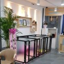 초코네 애견샵 이미지