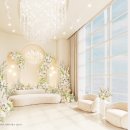 목화(아) 이미지