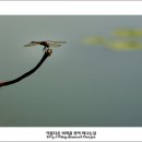 옛사랑 이미지