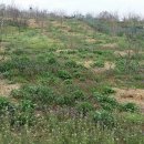 포포농장 이미지