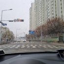 구피샵 포일점