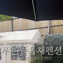 푸른뜰독채펜션 이미지