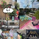 GG모텔 | [나 혼자 발리여행 1탄] 코스원호스텔/스피닝클래스ZYCLE/짱구댄스스튜디오/한식당꼬꼬닥/모텔멕시콜라...