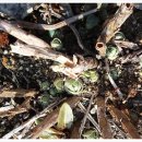 별솔농장 이미지