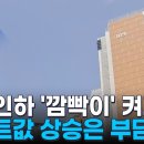 금리인하 '깜빡이' 켰다…기대감에 서울 아파트값 매주 상승 이미지