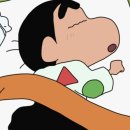 (주)가바플러스 | 바이탈뷰티 - 굿슬립가바 365와 함께하는 나만의 수면 루틴