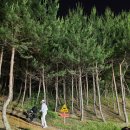 퍼블릭골프그늘집 | 수도권 야간 9홀 골프장 - 코리아 퍼블릭 cc (노캐디 야간 골프 후기)