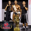 메이트 피티 이미지