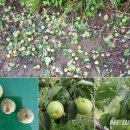 곡성-176 이미지