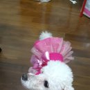 (주)하솜