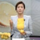 차예린 카카오 검색결과