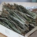 농업회사법인 주식회사 아침