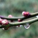 라 비 채 이미지