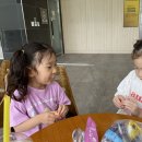 캐치홀릭 이미지