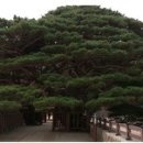 온천2동-28 이미지