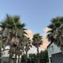 🏝️ 조용한 풀빌라 소랑, 제주 워케이션 숙소에서 꿈꾸던 바다무드 휴식을 만나다