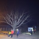 열녀 광산김씨 정려 이미지