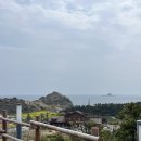 제주 유채꽃 명소 끝판왕, 산방산 실시간 후기 (사진 대박)