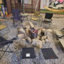 서둔동 292 이미지