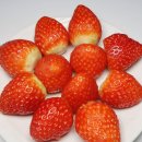 단북애청년 이미지