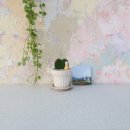 호야문구 이미지