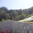 신흥중고등학교 이미지