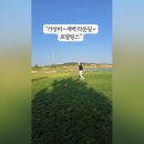 스파펜션링스