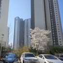 정헤어샵 | #원주 기업도시 헤어샵추천_정헤어샵