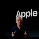 애플 피시 이미지