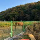 두리봉 화장실 이미지