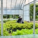 해돈농장 이미지