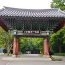 계룡산동학사자동차야영장 이미지