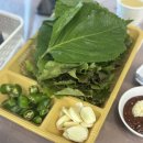 종일활어 | [강원 속초] 대포항횟집 종일활어 방문 후기