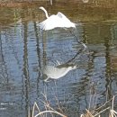 페어윈코리아 이미지