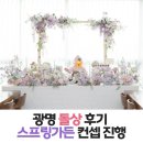 스프링컨셉트 | 광명 돌상 후기｜희모먼트 광명파티수 스프링가든 컨셉 진행