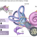 만복한의원 이미지