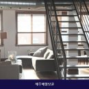 제주애월당귤