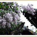 범왕화장실 이미지