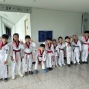 한국체대 미송태권도장 네이버블로그