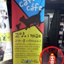 고양이다락방 이미지