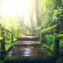 뉴월드파크 이미지