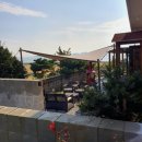 877 스테이 이미지