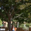 영미세탁 이미지