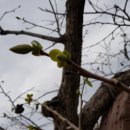 성골 농원 이미지