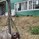 우리 곰내랑 | 기장철마 유채꽃밭,곰내연밭 앞 연잎수제비 맛집 곰내연밭식당