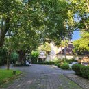 기린 세탁소 | 앤 빌라스 Santoo Suites &amp; VillasSantoo Suites &amp; Villas 하프보드, 스파, 발리동물원 먹이주기체험 후기