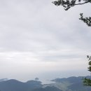 남해 차면 유자청 | 남해 금산 산장을 위해서 등반을! : 돌창고 프로젝트