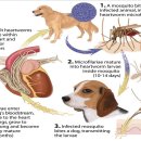 예담동물병원 이미지