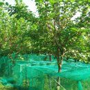 만복농장 이미지